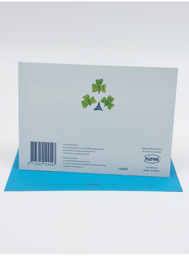 Carte de naissance Pop Boy