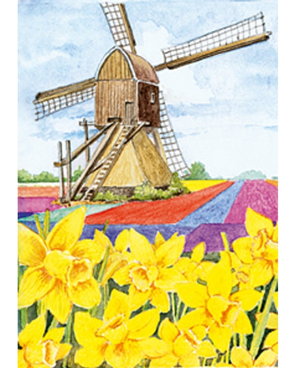 Wenskaart narcissen molen (F12456)