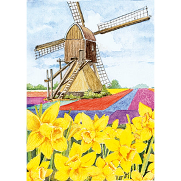 Wenskaart narcissen molen (F12456)