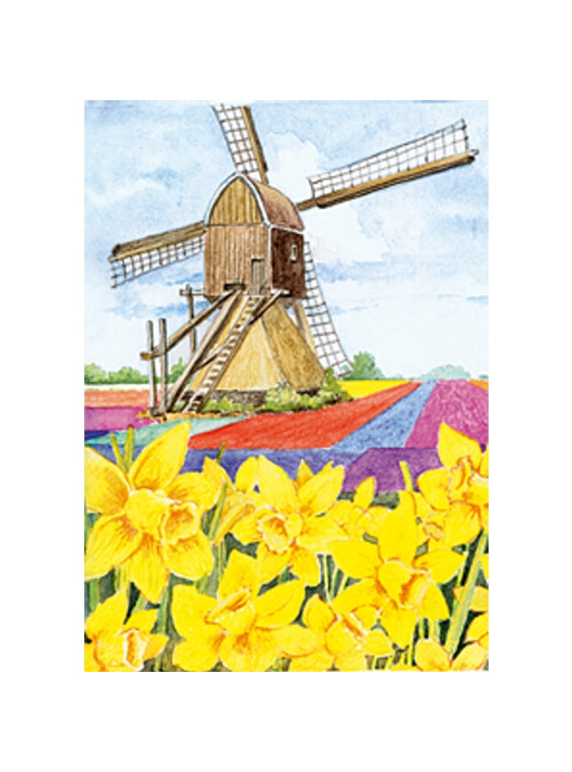 Wenskaart narcissen molen (F12456)