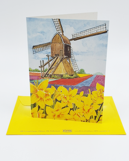 Wenskaart narcissen molen (F12456)