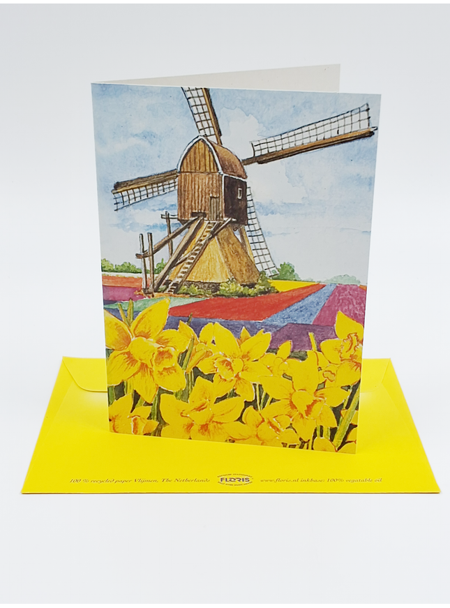 Wenskaart narcissen molen (F12456)