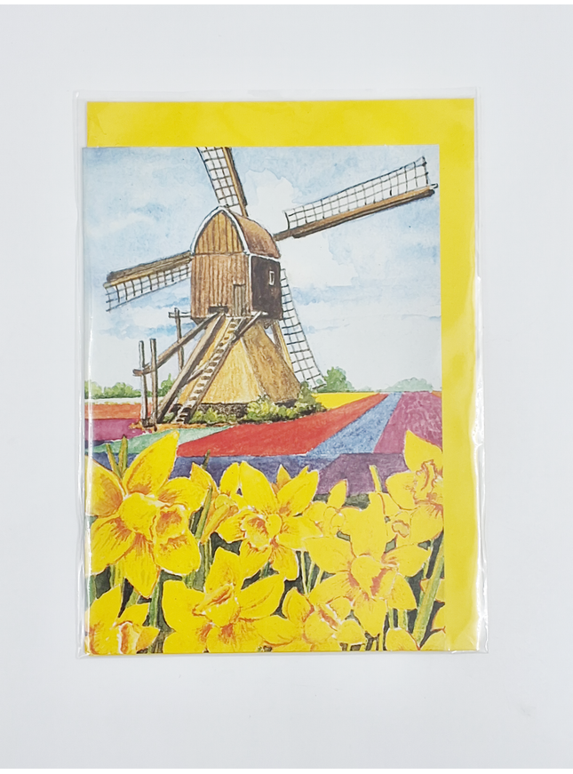 Wenskaart narcissen molen (F12456)