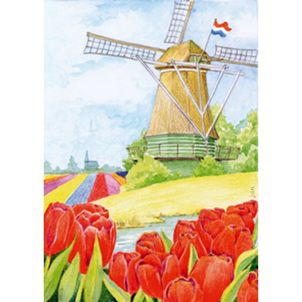 Wenskaart tulpen molen (F12457)