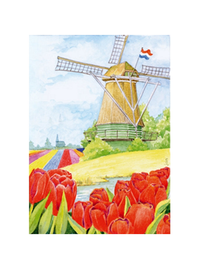 Wenskaart tulpen molen (F12457)