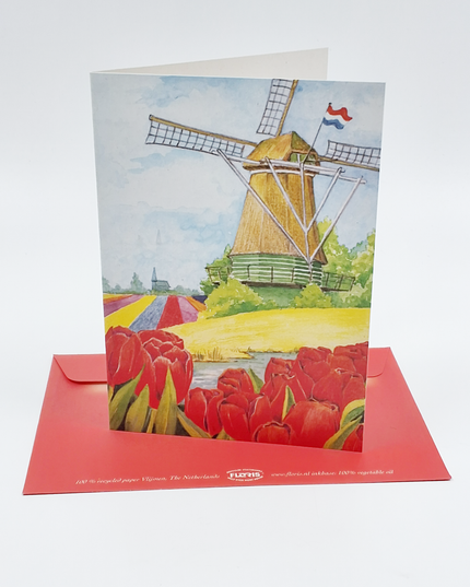 Wenskaart tulpen molen (F12457)