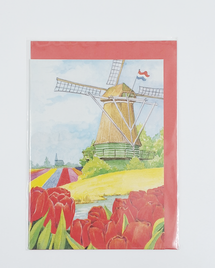 Wenskaart tulpen molen (F12457)