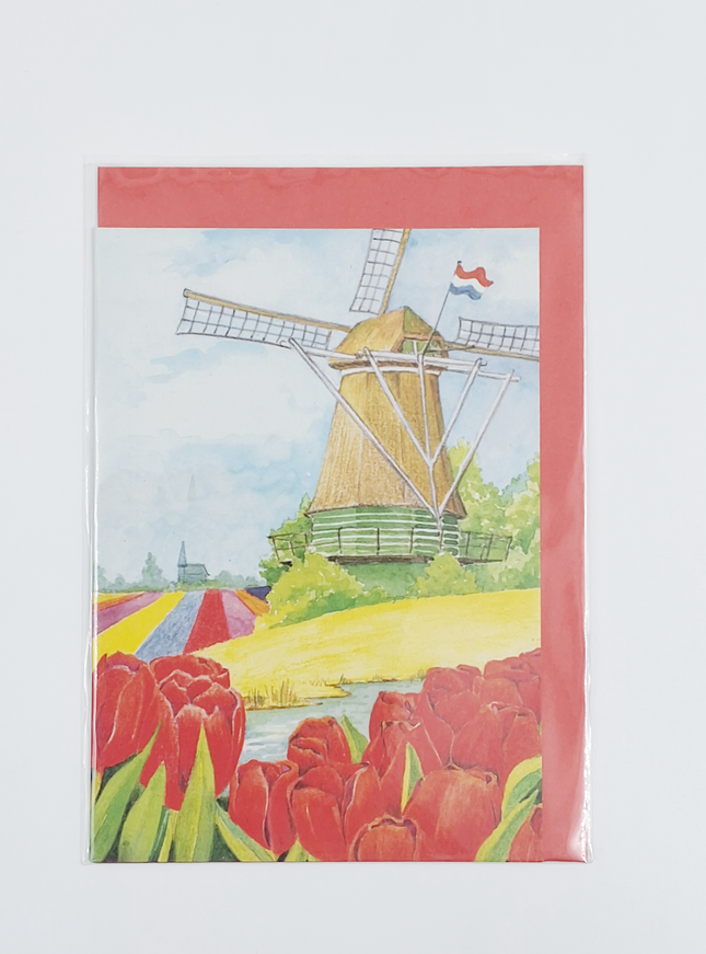 Wenskaart tulpen molen (F12457)