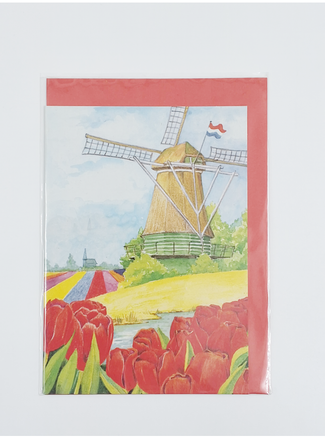 Wenskaart tulpen molen (F12457)