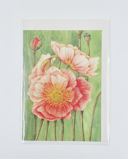 Wenskaart papaver Muriël (F12472)