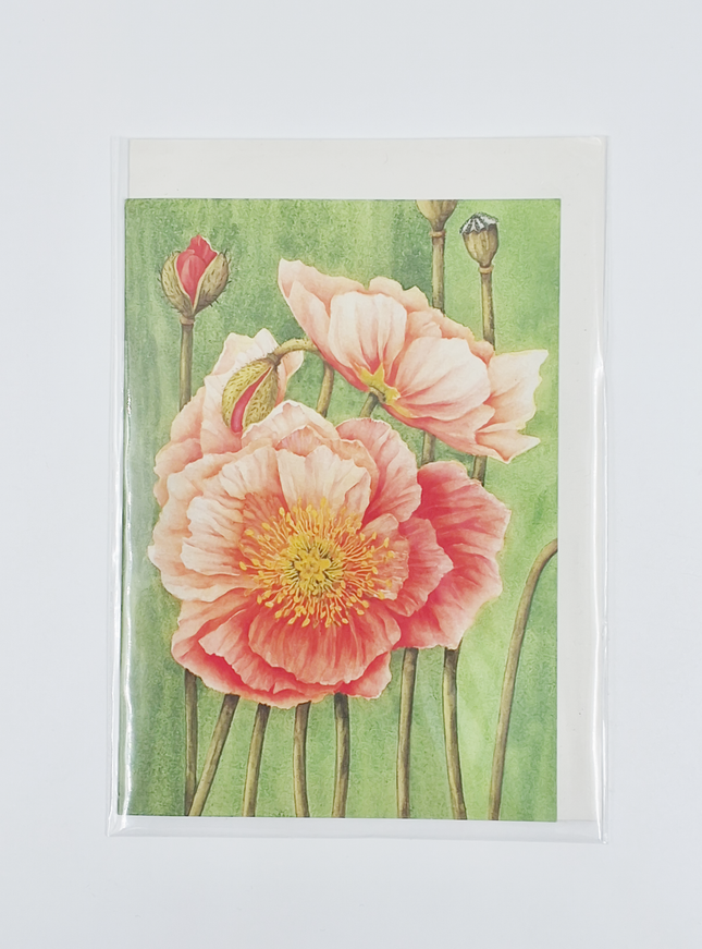 Wenskaart papaver Muriël (F12472)