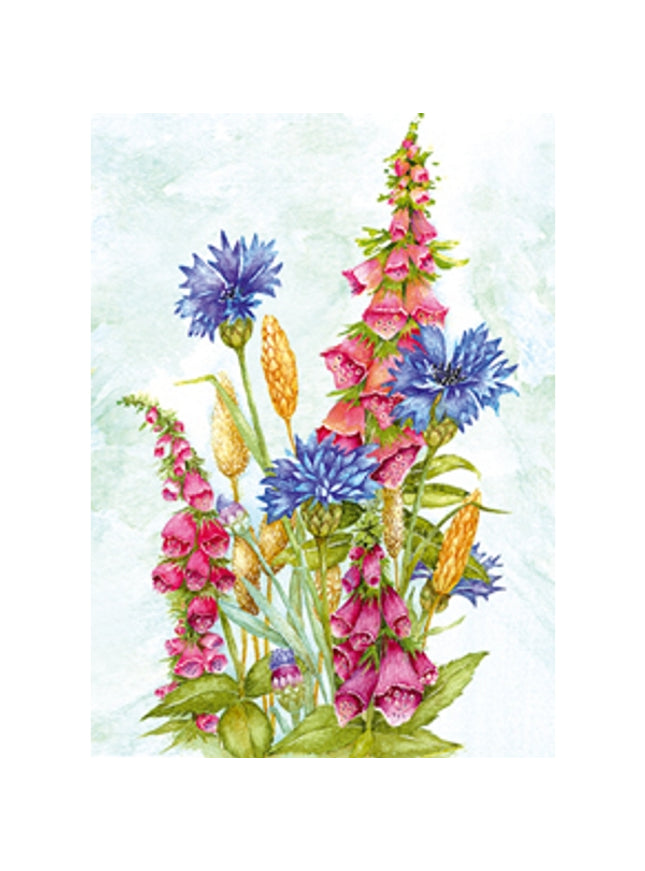 Greeting card cornflower delphinium (F12475)