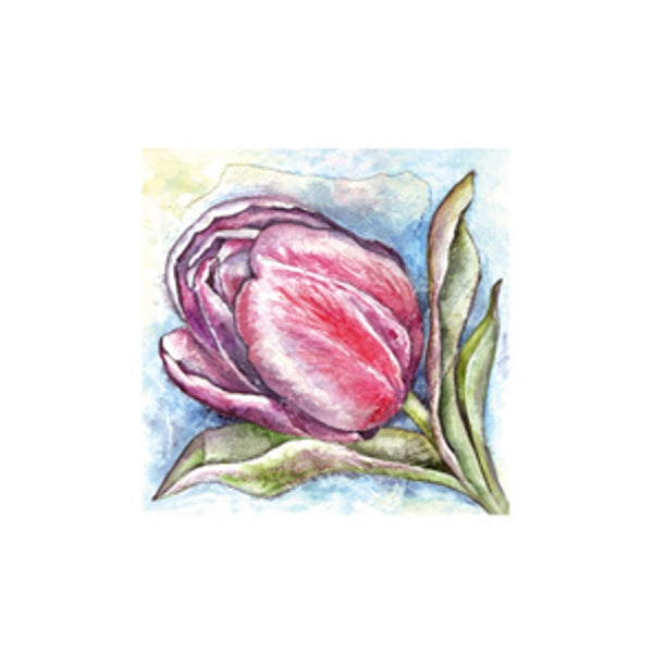 Wenskaart een tulp Anna (F12478)