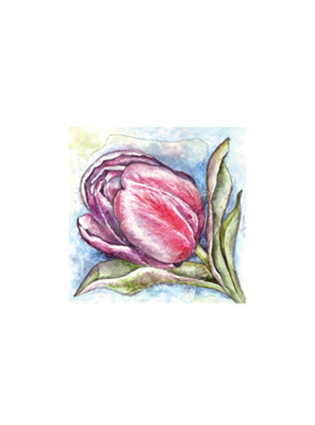 Wenskaart een tulp Anna (F12478)
