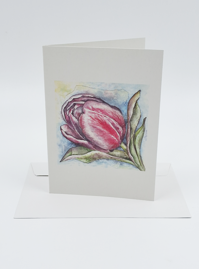 Wenskaart een tulp Anna (F12478)