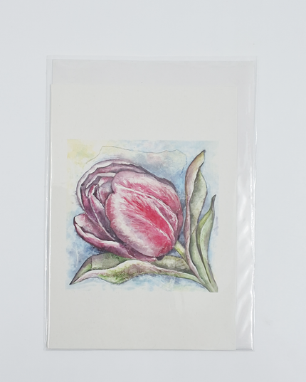 Wenskaart een tulp Anna (F12478)
