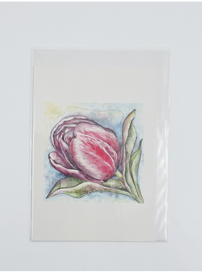 Wenskaart een tulp Anna (F12478)
