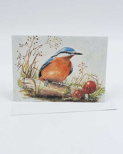 Greeting card nuthatch (F12495)