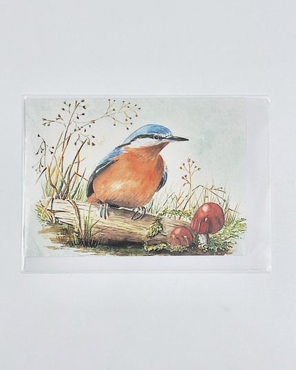 Greeting card nuthatch (F12495)