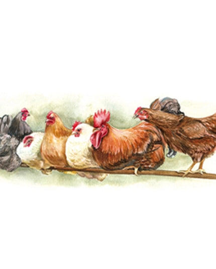 Greeting card rooster and hens on perch (F12507)