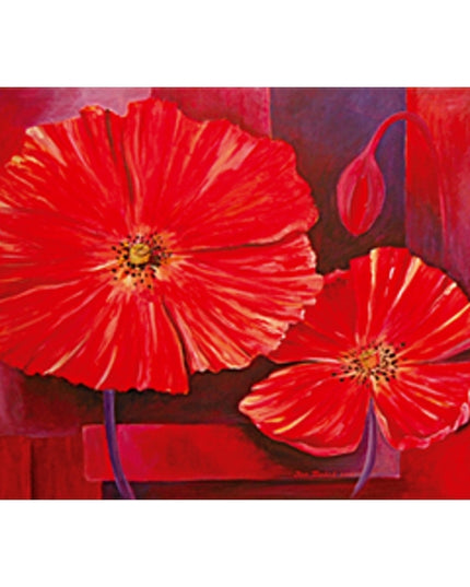 Greeting card two poppies Jan (F12524)