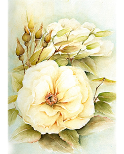 Greeting card white rose with buds (F12530)