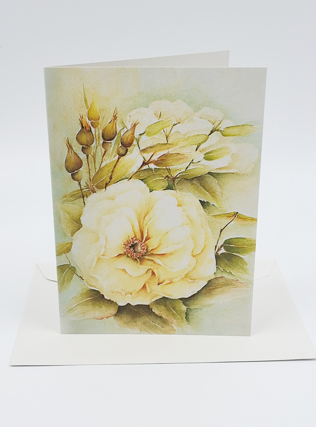 Wenskaart witte roos met knoppen (F12530)