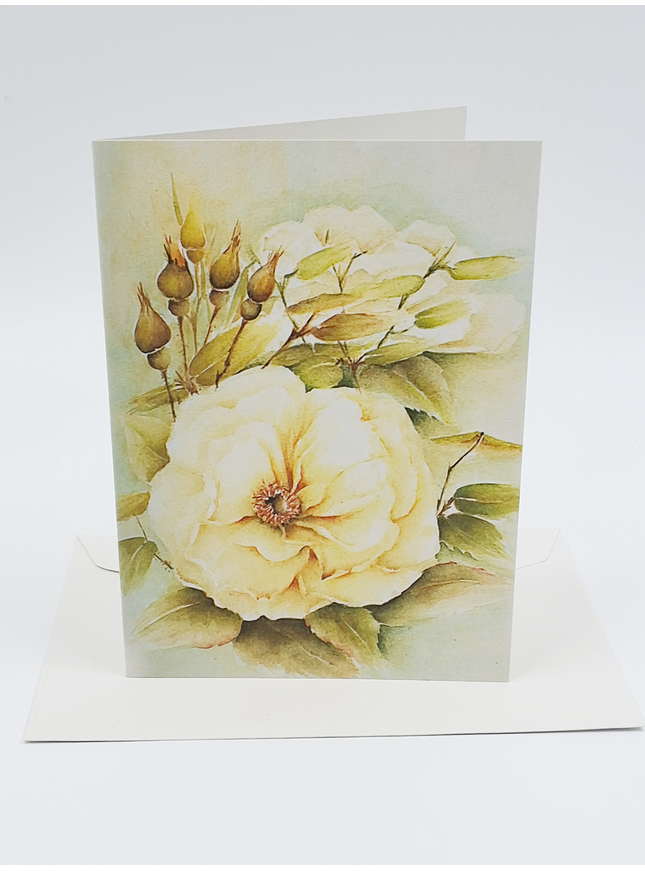 Wenskaart witte roos met knoppen (F12530)