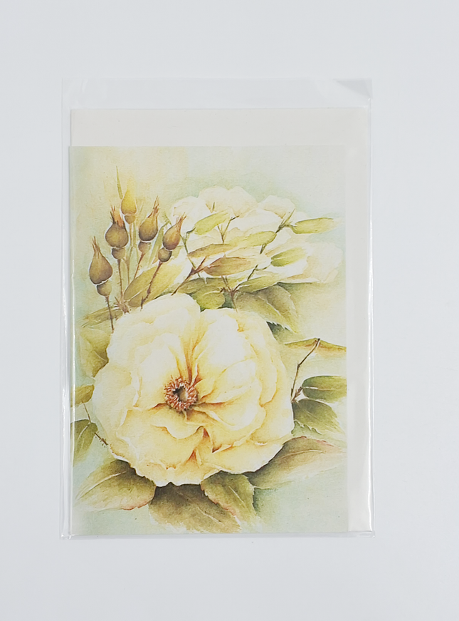 Wenskaart witte roos met knoppen (F12530)