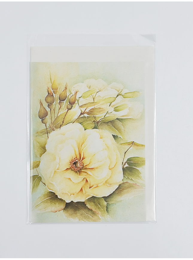 Wenskaart witte roos met knoppen (F12530)