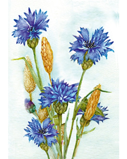Greeting card cornflower Muriël (F12532)