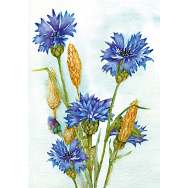 Wenskaart korenbloem Muriël (F12532)
