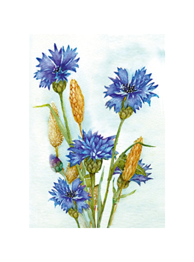 Greeting card cornflower Muriël (F12532)
