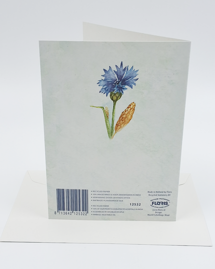 Greeting card cornflower Muriël (F12532)