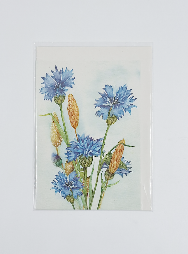 Wenskaart korenbloem Muriël (F12532)