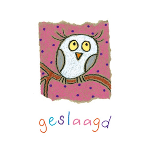 Wenskaart uil, geslaagd (F12537)
