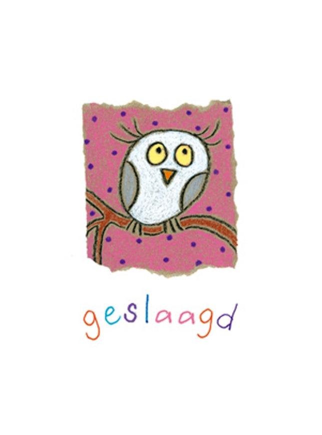 Wenskaart uil, geslaagd (F12537)