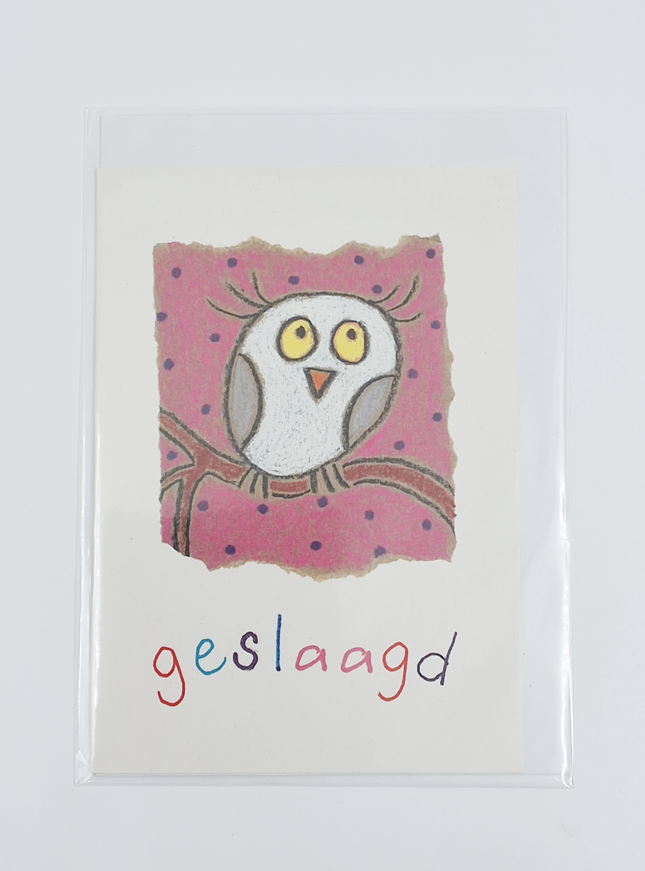 Wenskaart uil, geslaagd (F12537)