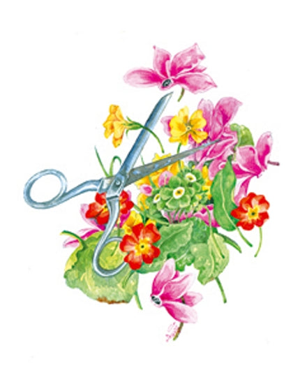 Greeting card scissors cyclamen (F12572)