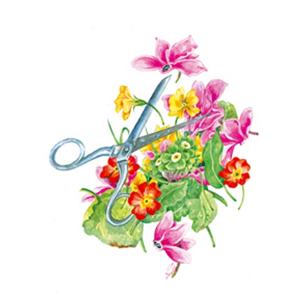 Wenskaart schaar cyclamen (F12572)