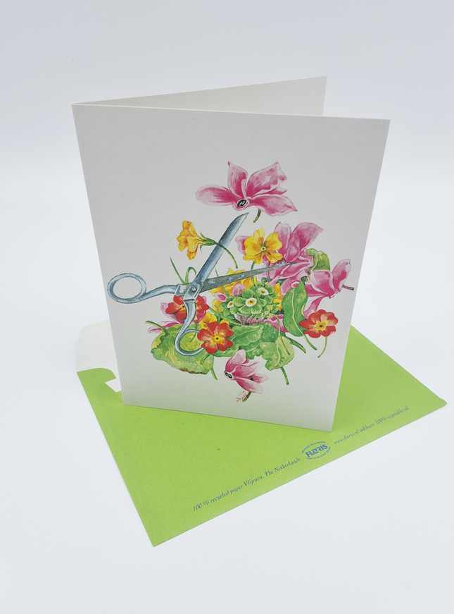 Wenskaart schaar cyclamen (F12572)