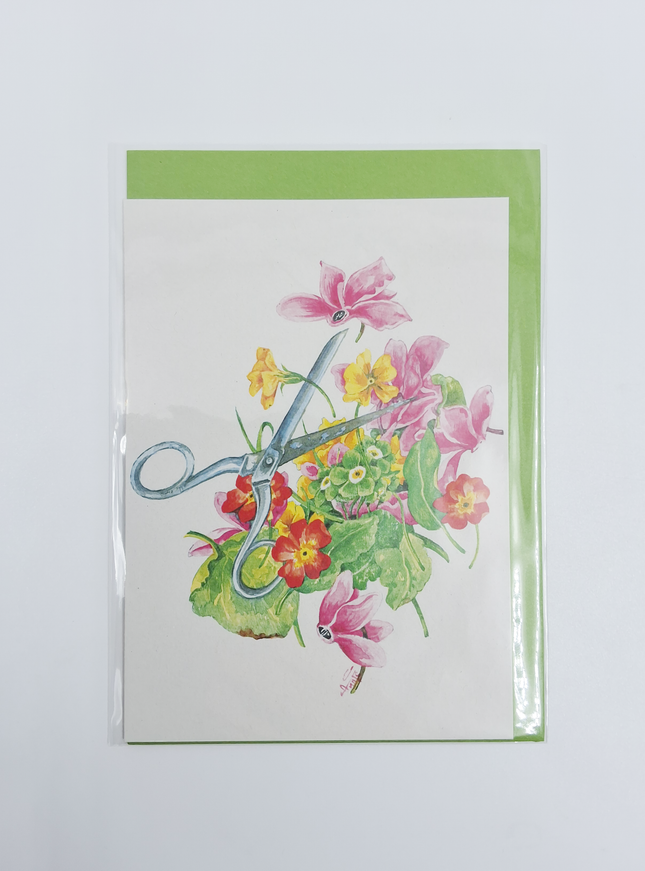 Wenskaart schaar cyclamen (F12572)