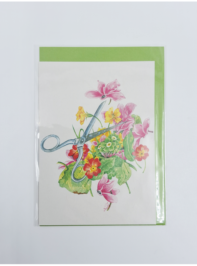 Wenskaart schaar cyclamen (F12572)
