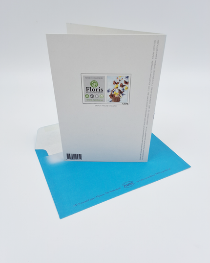 wenskaart mand vlinders (F12575)