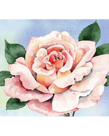 Greeting card pink rose (F12594)