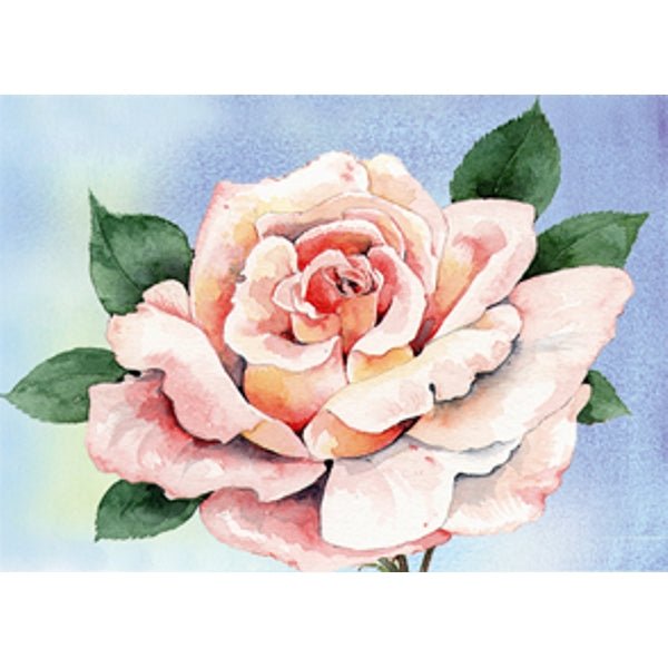 Wenskaart roze roos (F12594)
