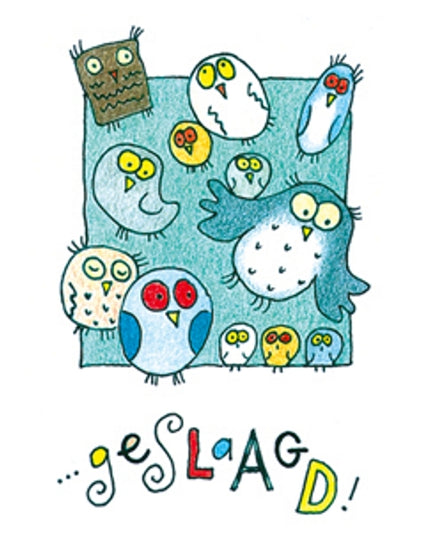 Greeting card owls, graduated (F12601)