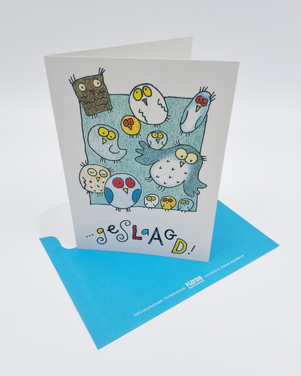 Greeting card owls, graduated (F12601)