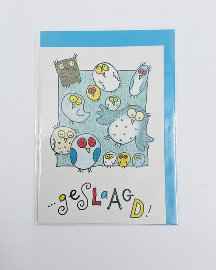 Greeting card owls, graduated (F12601)