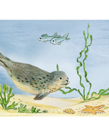 Carte de vœux pêche aux phoques